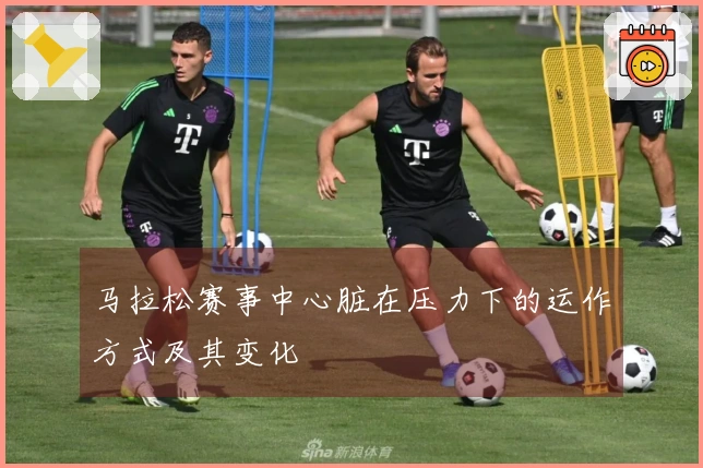 马拉松赛事中心脏在压力下的运作方式及其变化
