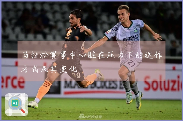 马拉松赛事中心脏在压力下的运作方式及其变化
